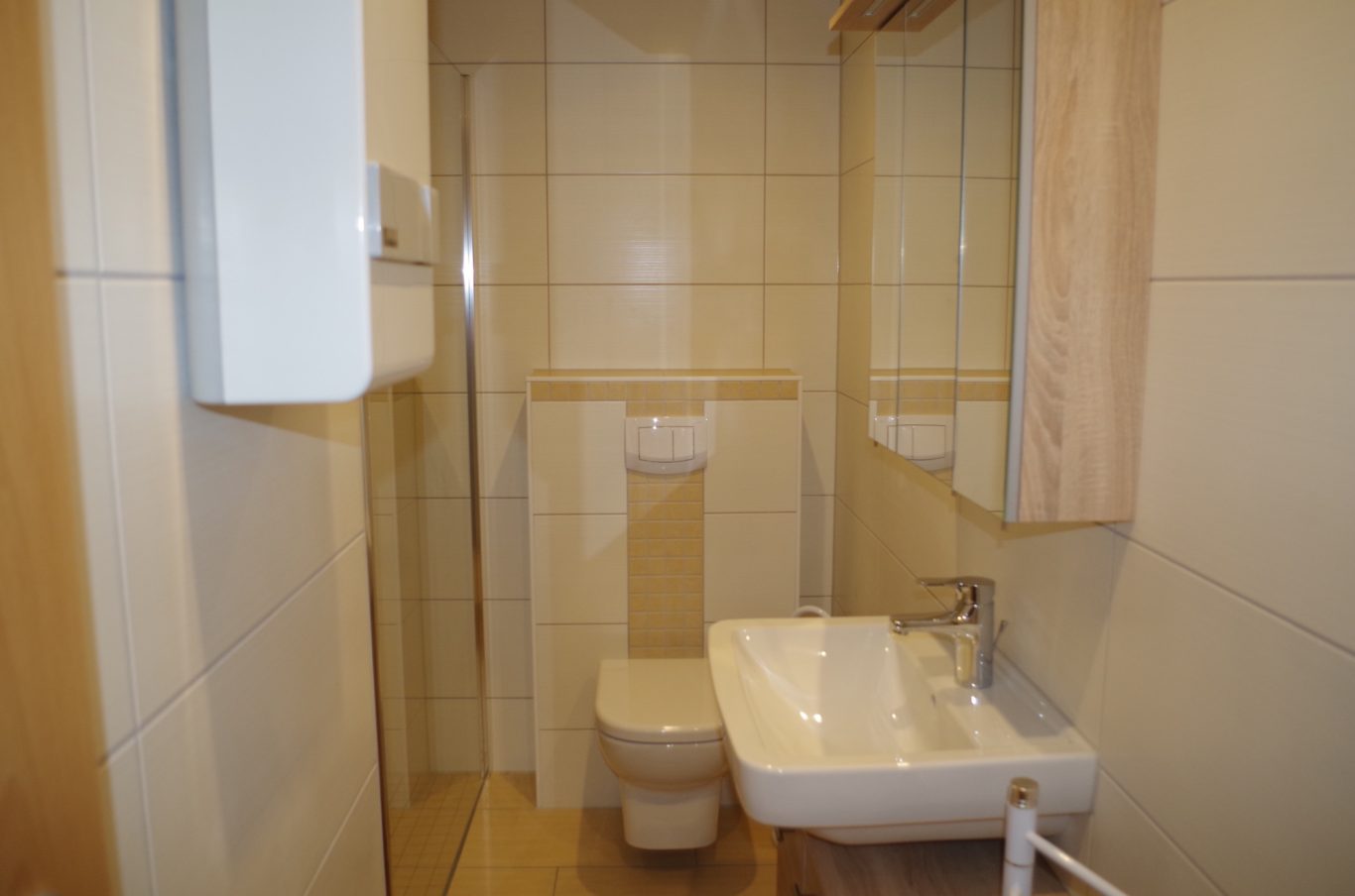 Modernes Bad mit Dusche (bodengleich) und WC